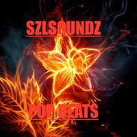 Pop & RnB Beats by SZLSOUNDZ