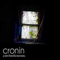 A View from the Next Room by Cronin