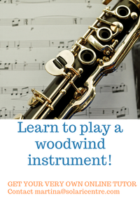 Music Lesson for Woodwind player (beginner/intermediate level)