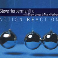 Action:Reaction by Steve Herberman