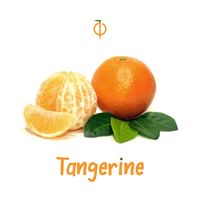 Tangerine - Single by earth7