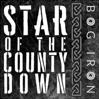 Star of the County Down by Bog Iron