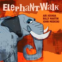 Elephant Walk by Ari Joshua, John Medeski, & Billy Martin