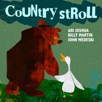 Country Stroll by Ari Joshua, John Medeski, & Billy Martin