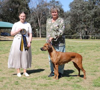 Gaia Best Bred By Exhibitor in show
