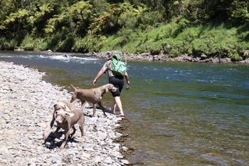 Keith with the dogs, about to test his fishing skills on the way to Gisborne Show. Doug saying look Dad there's one over there!
