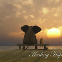 Healing Hope by Anne Leader
