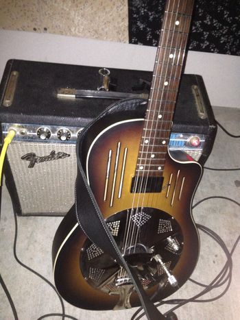 Fender Princeton Reverb, National Radiotone Bendaway
