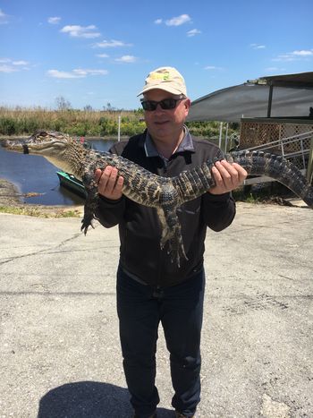 This young alligator was supported by Colin in the picture taken in Florida.
