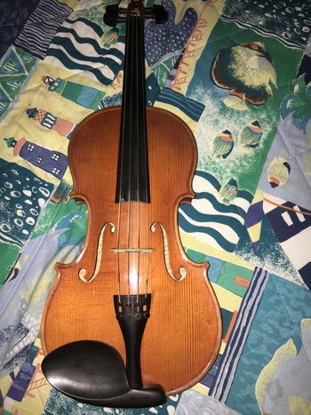This is another picture of Colin's violin when it is not being played!
