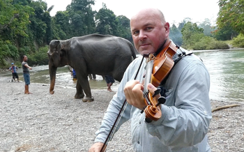 This is Colin playing 'Jungle Bells'  to the elephants of the Sumatran jungle
