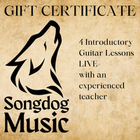 65% OFF SALE! 4 Introductory Guitar Lessons LIVE with experienced teacher