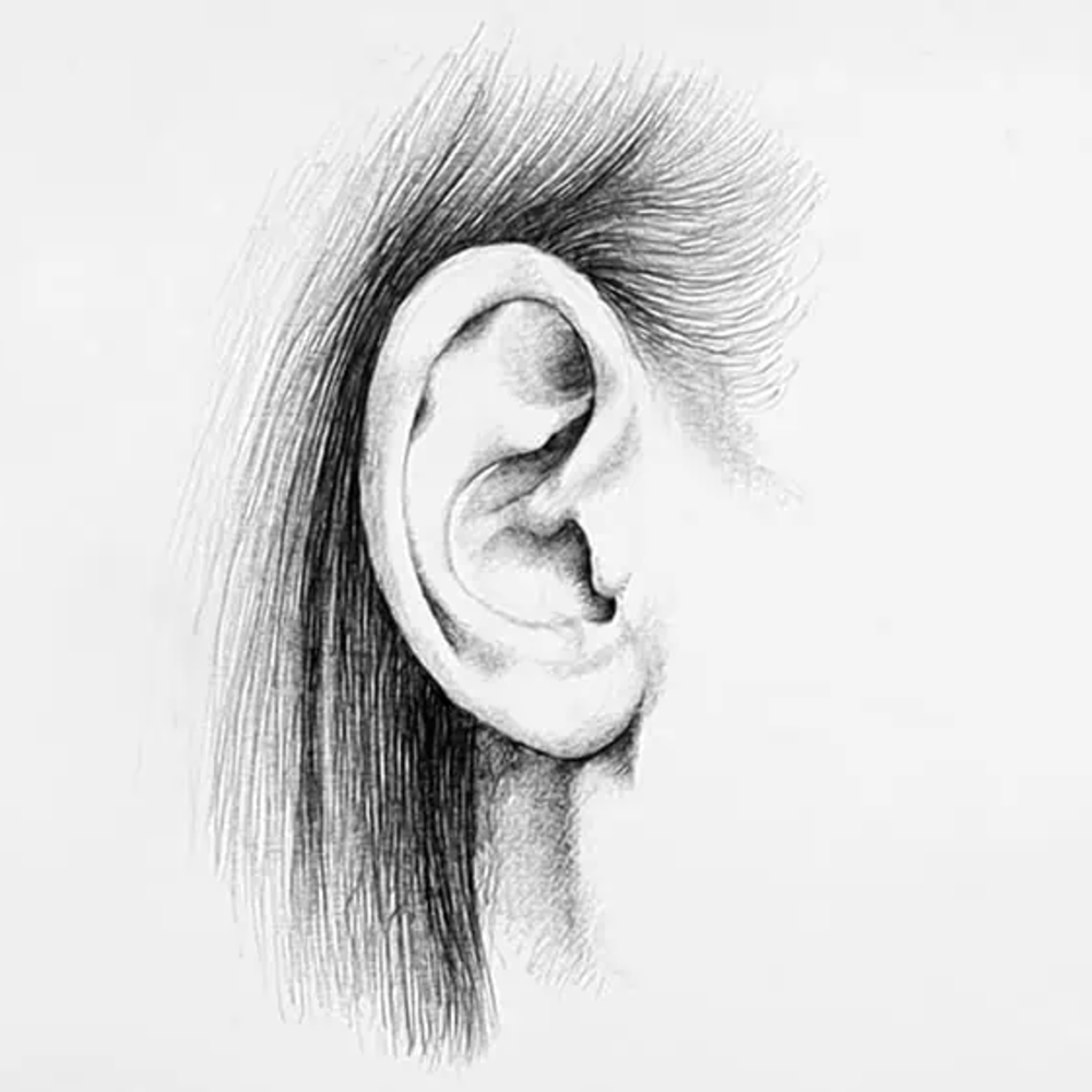 black & white sketch of a human ear, by acrylgiessen
