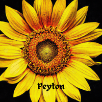 Sunflower - Single by Peyton