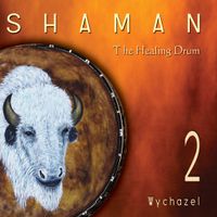 Shaman 2 by Wychazel