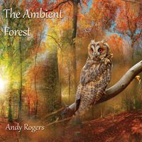 The Ambient Forest by Andy Rogers