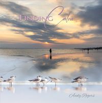 Finding Calm - FREE SINGLE (Download MP3)