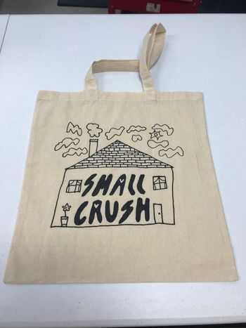 Small Crush Tote 14.5 x16 size. Great for Vinyl records!
