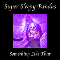 Something Like That by Super Sleepy Pandas