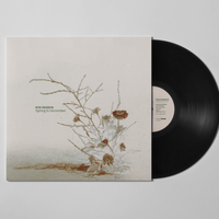 Spring In December: Vinyl (Signed)