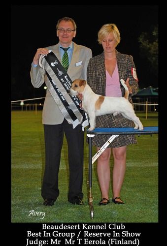 Devil - Best In Group 2 & Reserve In Show. Beaudesert Kennel Club 2010!
