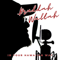 In Your Hawaiian Way by Bruddah Waltah