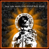 My Life With The Thrill Kill Kult by 1988 - 1992