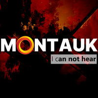 I Can Not Hear by Montauk