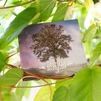 Gentle Lies : CD - Gentle Lies (PHYSICAL COPY)