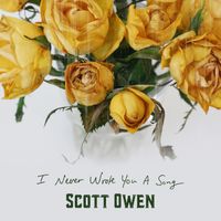 I Never Wrote You a Song by Scott Owen