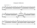 "Inorganic Induction" for Solo Prepared Marimba