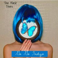 Go Go Indigo  by Steve D. Wilson Featuring The Black Doves