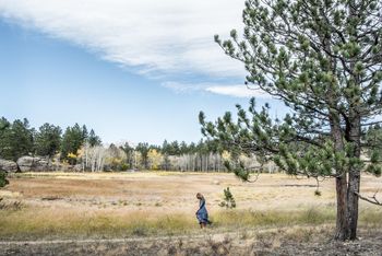 Near Lew Cushman's ranch
