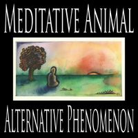Alternative Phenomenon by Meditative Animal