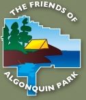 Forgotten Memories at Algonquin Park Pavillion