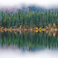 Northern Reflection