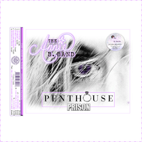 "Penthouse Prison" by The Annie B. Band - DIGITAL DOWNLOAD
