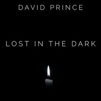 Lost In The Dark by David Prince