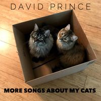 More Songs About My Cats by David Prince