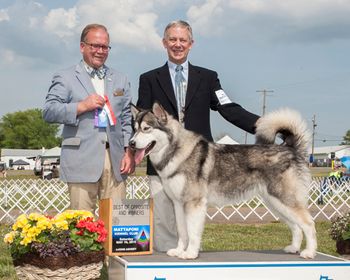 Winners Fredericksburg Kennel Club, January 2015
