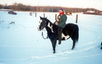 Winter 2000, in foal to Shadow.
