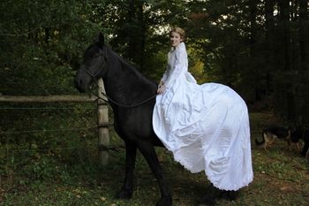 Wedding experience, horse Tjalline

