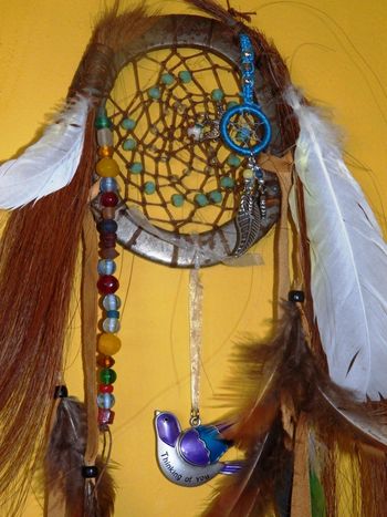 Ashley's dream catcher for her horse Tulley, made Jan 16
