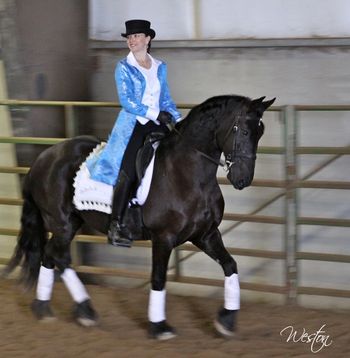 Feather Friesian show
