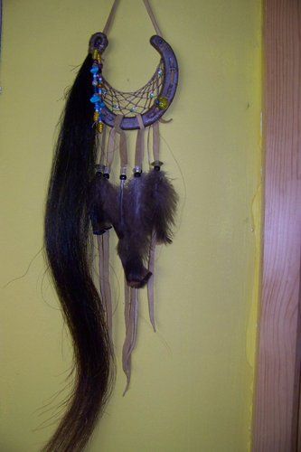 Tammy's young mare's dream catcher from a distance, Oct 2010
