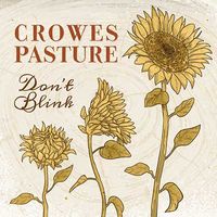Don't Blink by Crowes Pasture