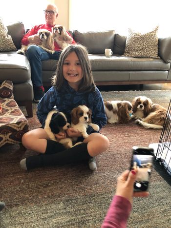 Matteo and the pups
