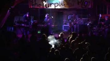 Purple Pig Music Festival - 2012
