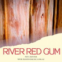 River Red Gum by Peta Minter