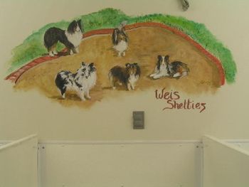 Our kennel
